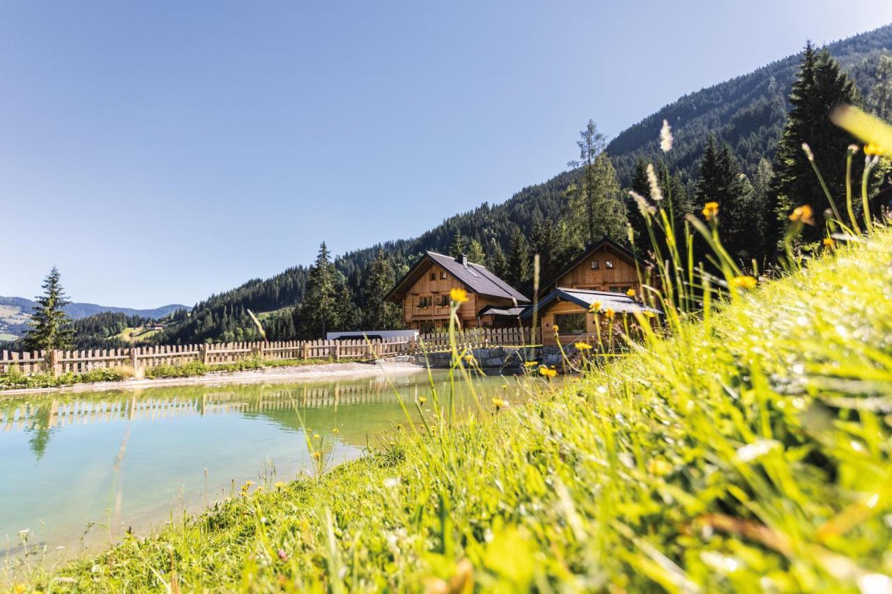 Bergseegut Chalet Und Apartment Wagrain Εξωτερικό φωτογραφία