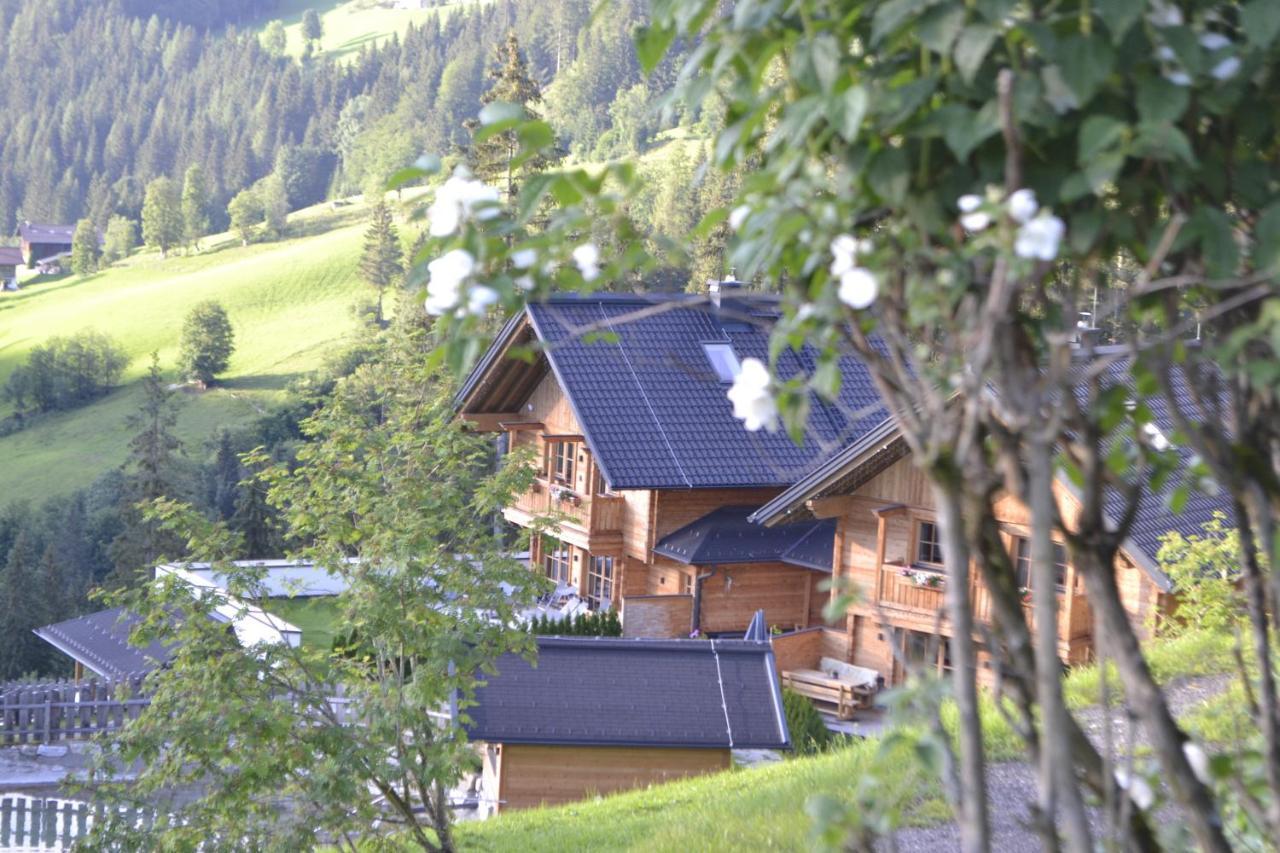 Bergseegut Chalet Und Apartment Wagrain Εξωτερικό φωτογραφία